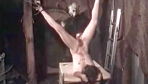 Hom- Perversion House Hom- Perversion House