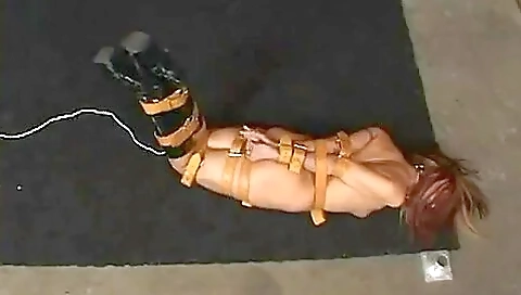Strapped Up And Vibed Strapped Up And Vibed